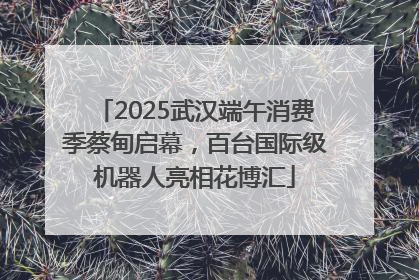 2025武汉端午消费季蔡甸启幕，百台国际级机器人亮相花博汇