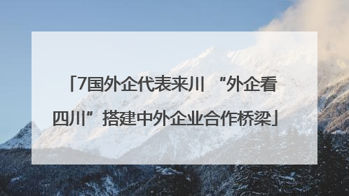 7国外企代表来川 “外企看四川”搭建中外企业合作桥梁