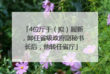 4位厅干（拟）履新，卸任省级政府副秘书长后，他转任省厅