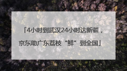 4小时到武汉24小时达新疆，京东助广东荔枝“鲜”到全国