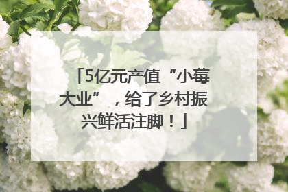 5亿元产值“小莓大业”，给了乡村振兴鲜活注脚！