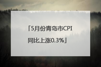 5月份青岛市CPI同比上涨0.3%