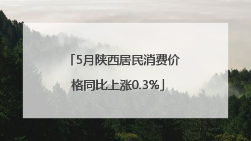 5月陕西居民消费价格同比上涨0.3%