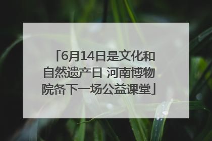 6月14日是文化和自然遗产日 河南博物院备下一场公益课堂