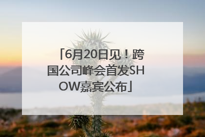 6月20日见！跨国公司峰会首发SHOW嘉宾公布