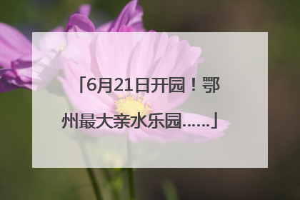 6月21日开园！鄂州最大亲水乐园……