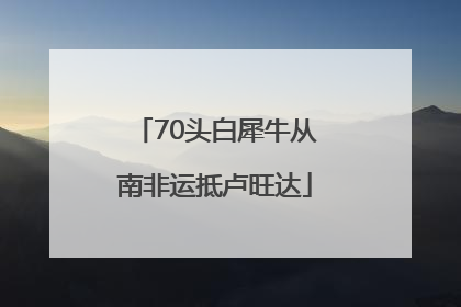 70头白犀牛从南非运抵卢旺达