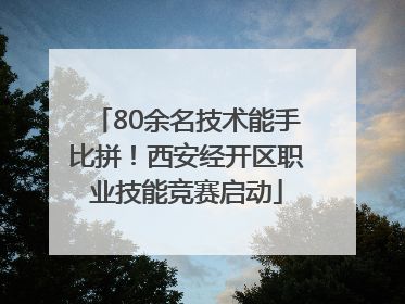 80余名技术能手比拼！西安经开区职业技能竞赛启动