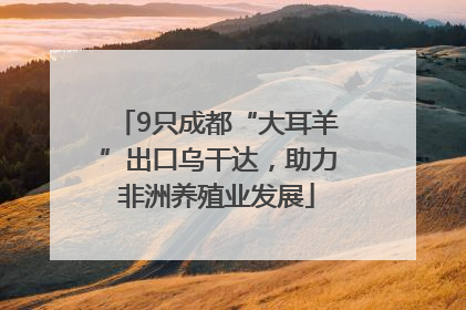 9只成都“大耳羊”出口乌干达，助力非洲养殖业发展