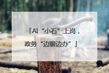 AI“小石”上岗，政务“边聊边办”