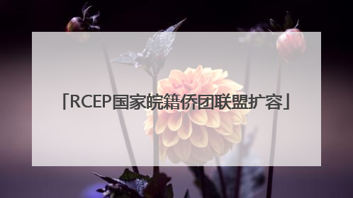 RCEP国家皖籍侨团联盟扩容